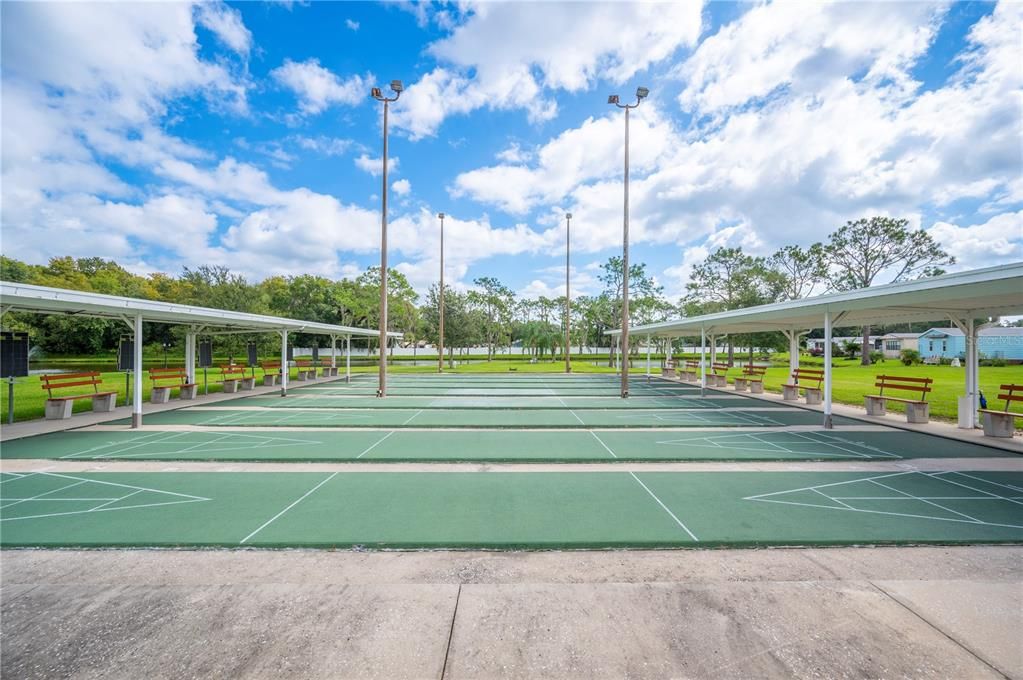 Shuffleboard