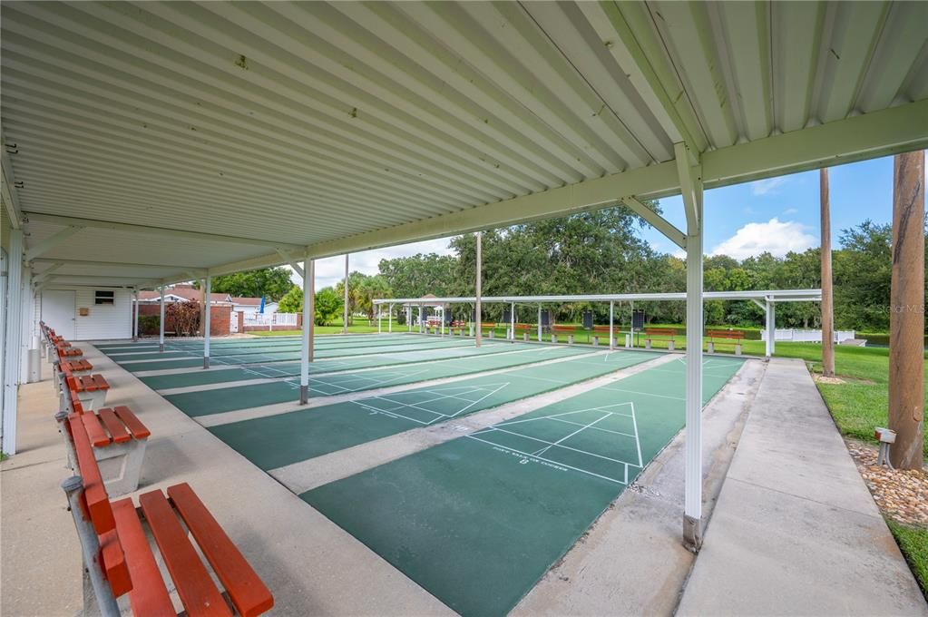 Shuffleboard