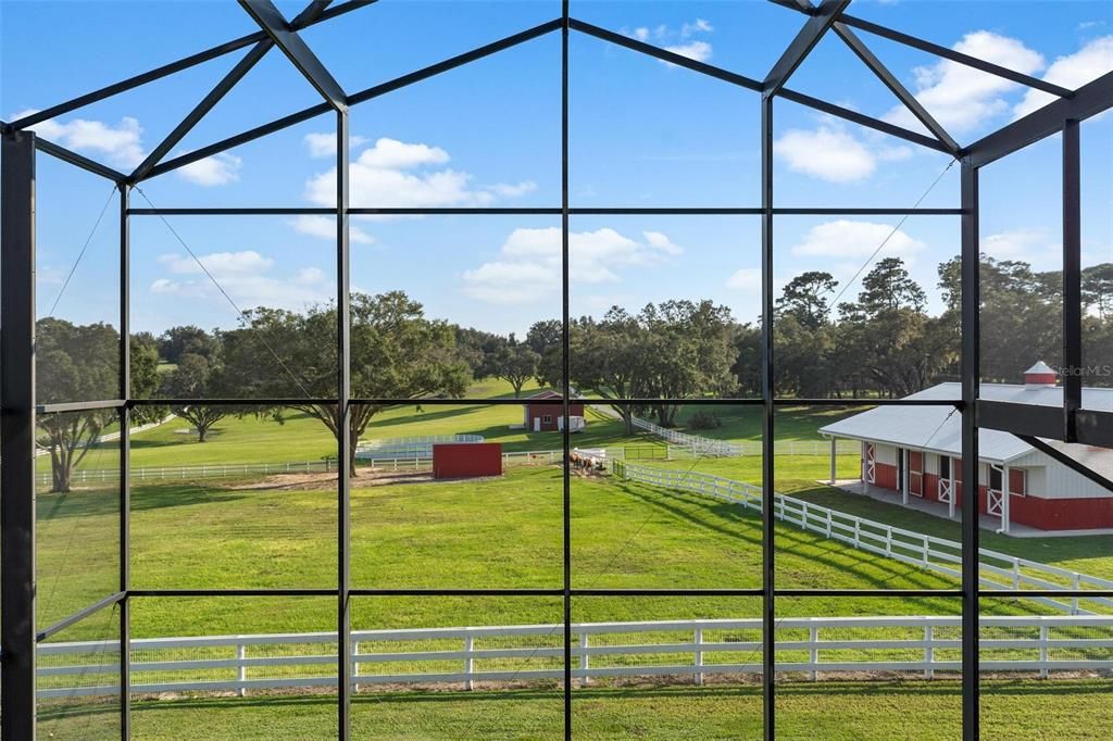 Balcony overlooking Elevated Pasture Views