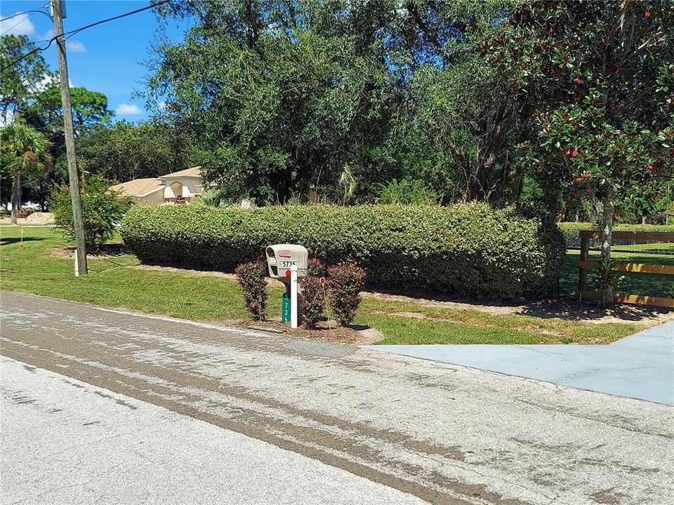 landscaped yard