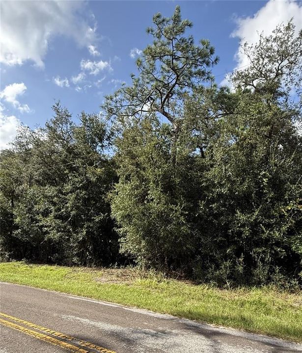 For Sale: $9,500 (0.23 acres)