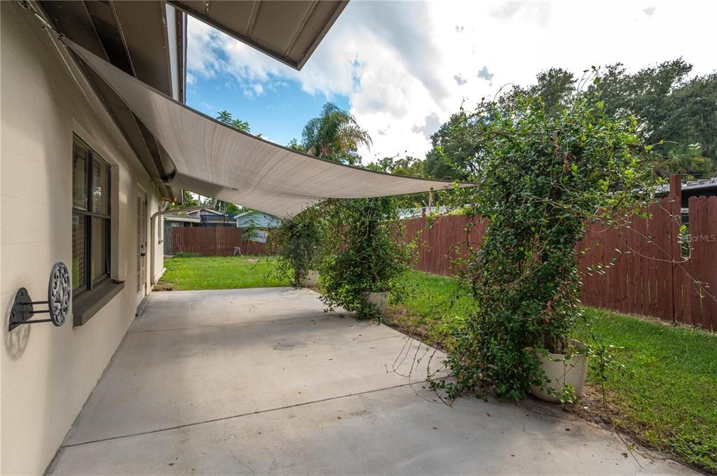 Back Patio