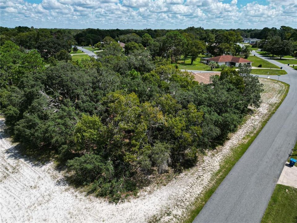 Wooded area for privacy or future Pole Barn/Man Cave - you decide