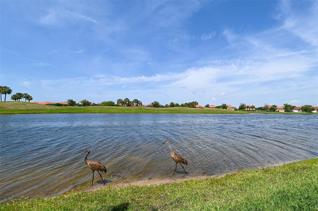 For Sale: $1,099,000 (4 beds, 3 baths, 3129 Square Feet)