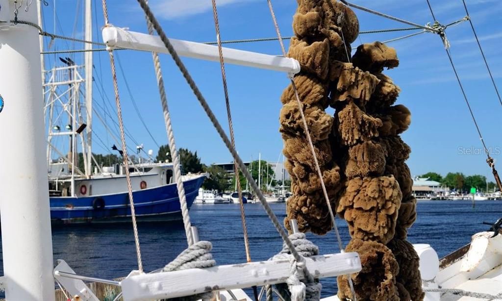 Sponge Docks