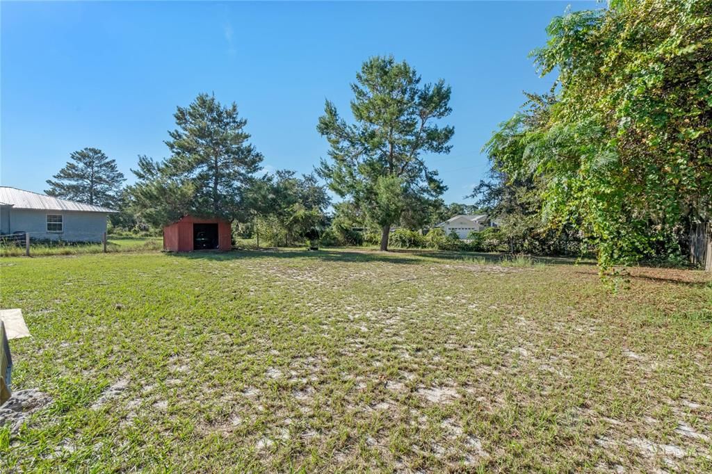 Spacious back yard and storage shed