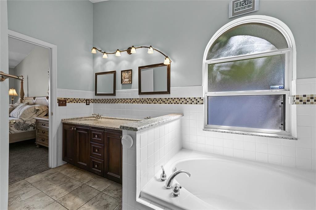 Main bedroom en suite, double sinks, lots of counterspace