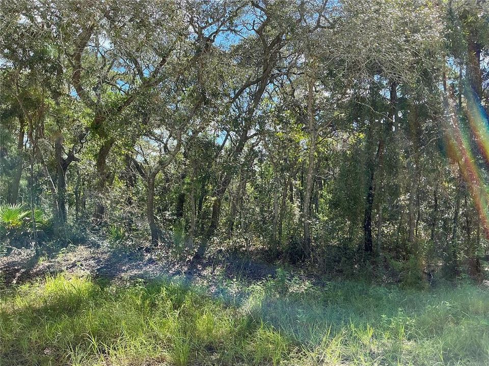 En Venta: $38,000 (0.64 acres)