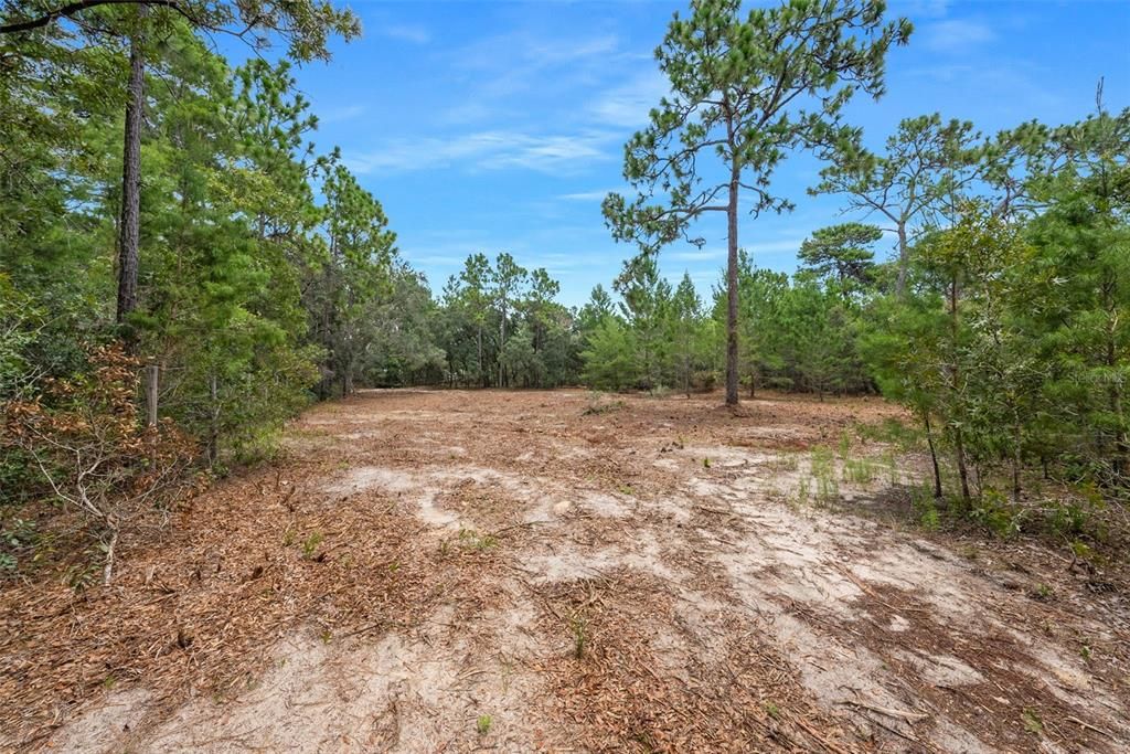 For Sale: $149,000 (2.50 acres)