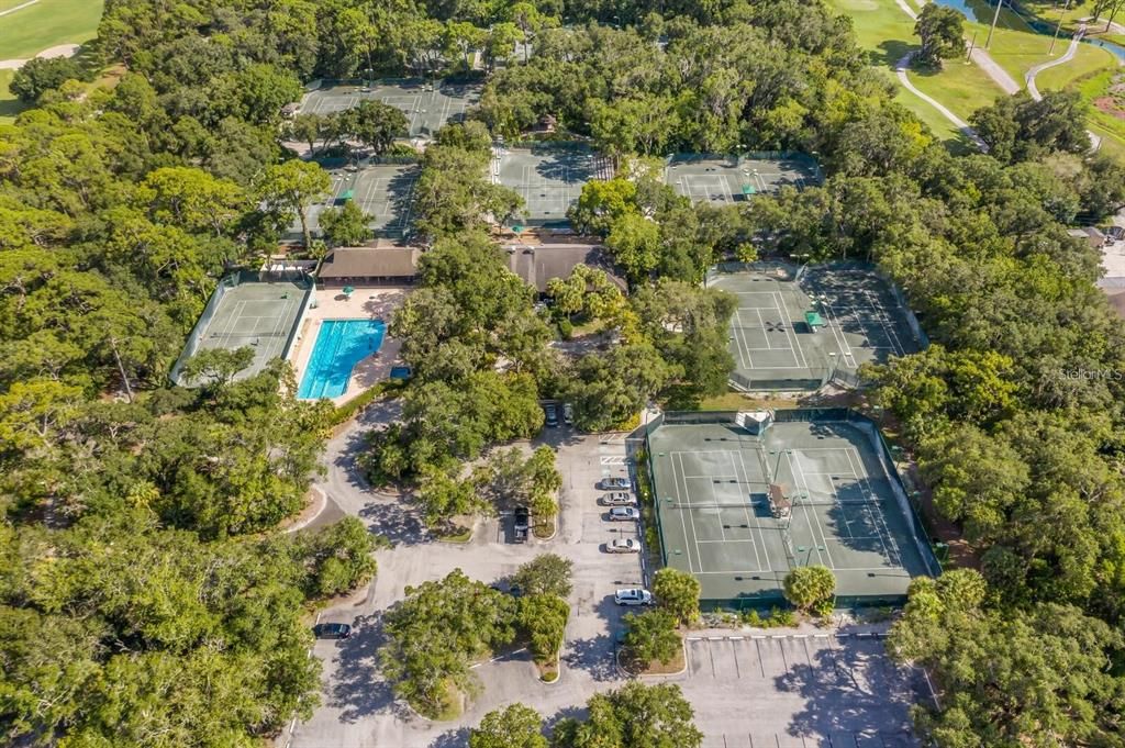 17 Har-Tru tennis courts, pickleball courts and a junior-sized olympic swimming pool