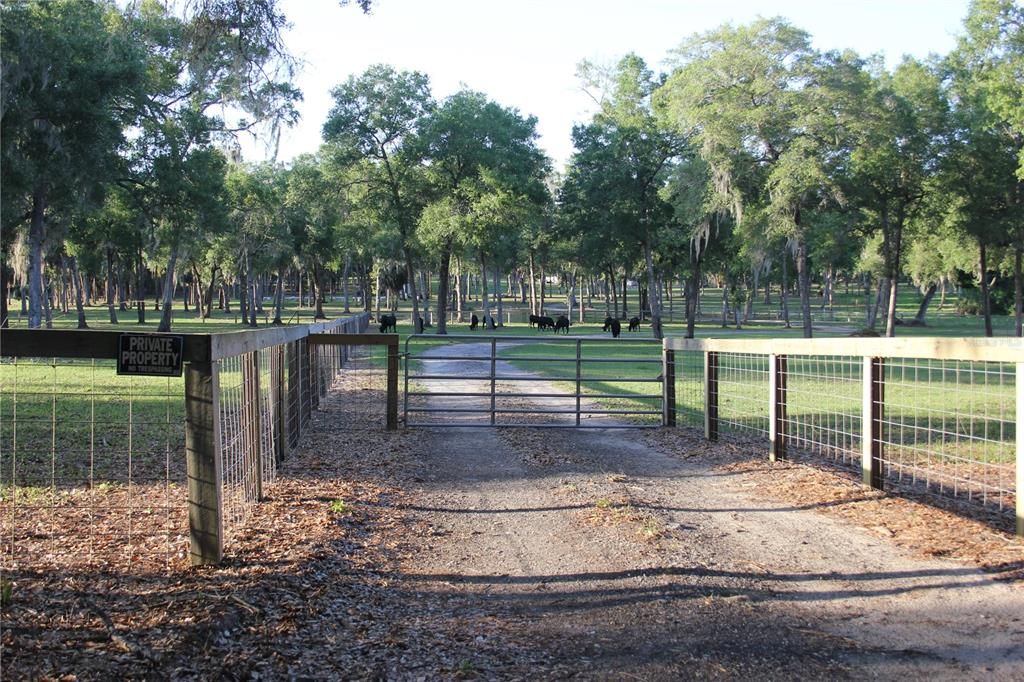 Main gate entrance on Fishermans Road.