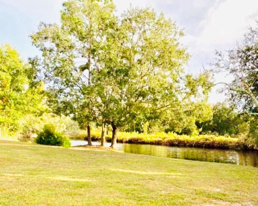 Pond View