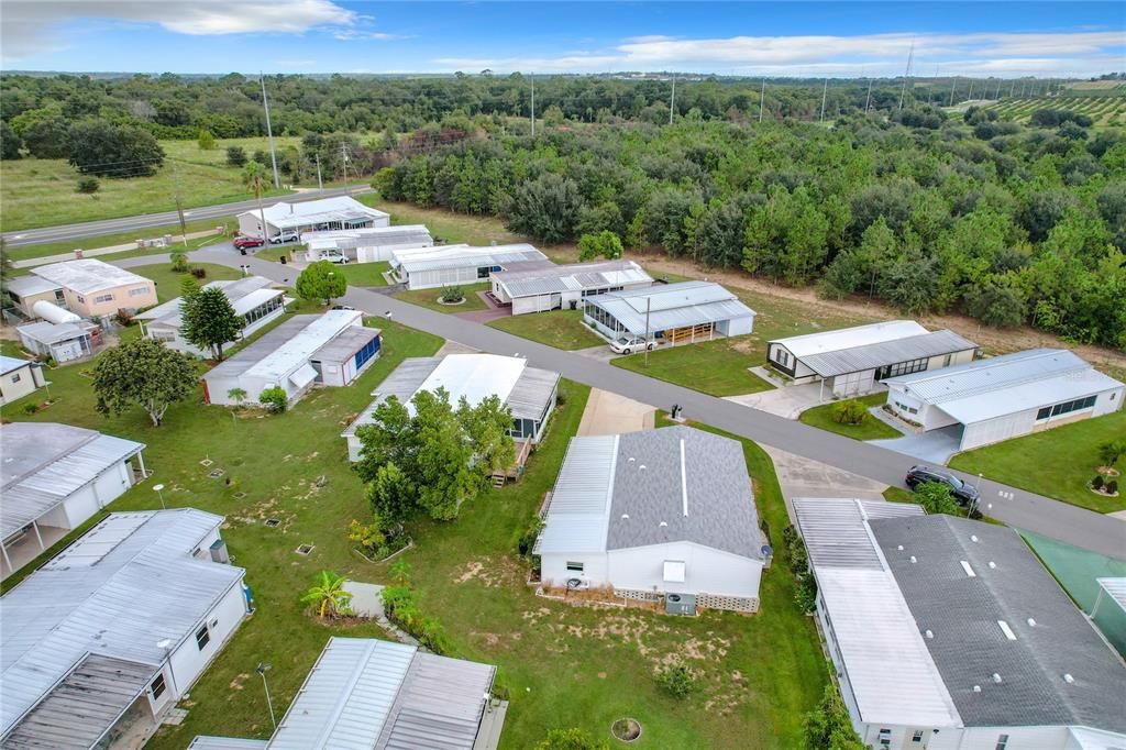 Aerial of the home and backyard