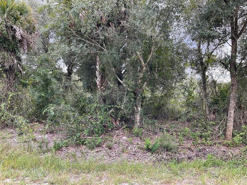 En Venta: $26,500 (1.25 acres)