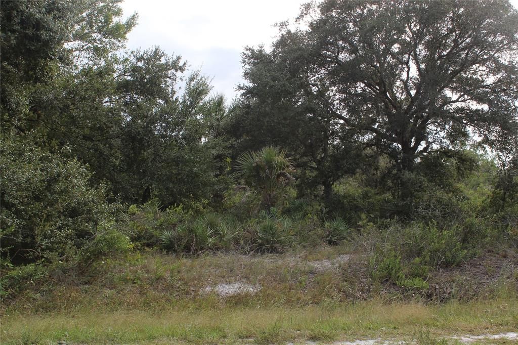 For Sale: $22,500 (1.25 acres)