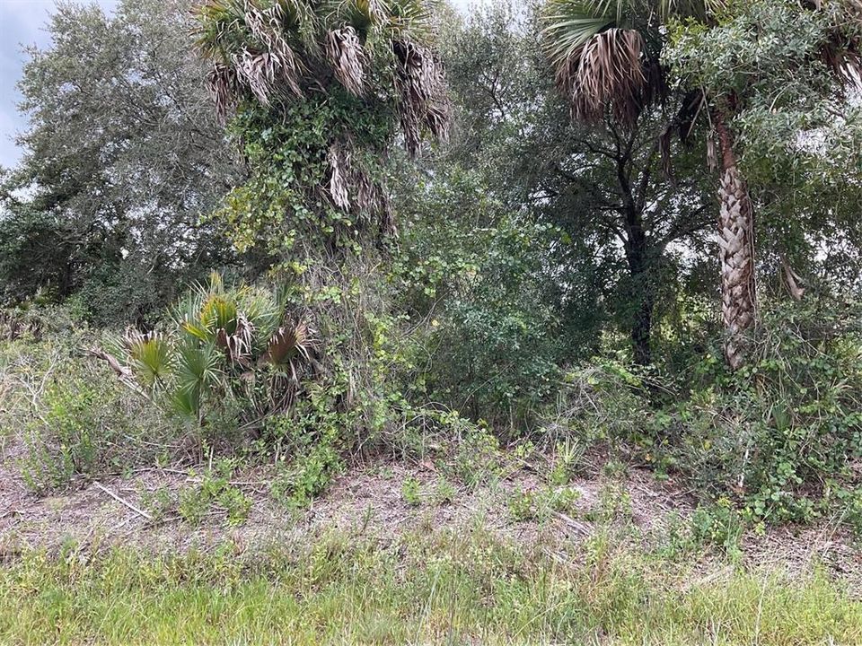 En Venta: $26,500 (1.25 acres)