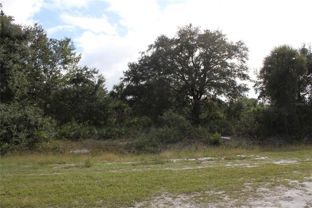 For Sale: $22,500 (1.25 acres)