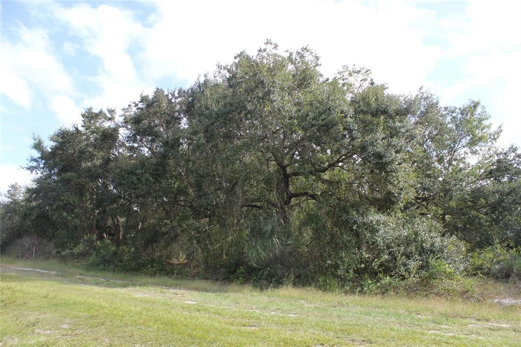 For Sale: $22,500 (1.25 acres)