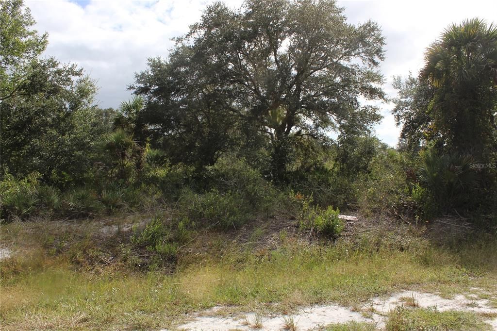 For Sale: $22,500 (1.25 acres)