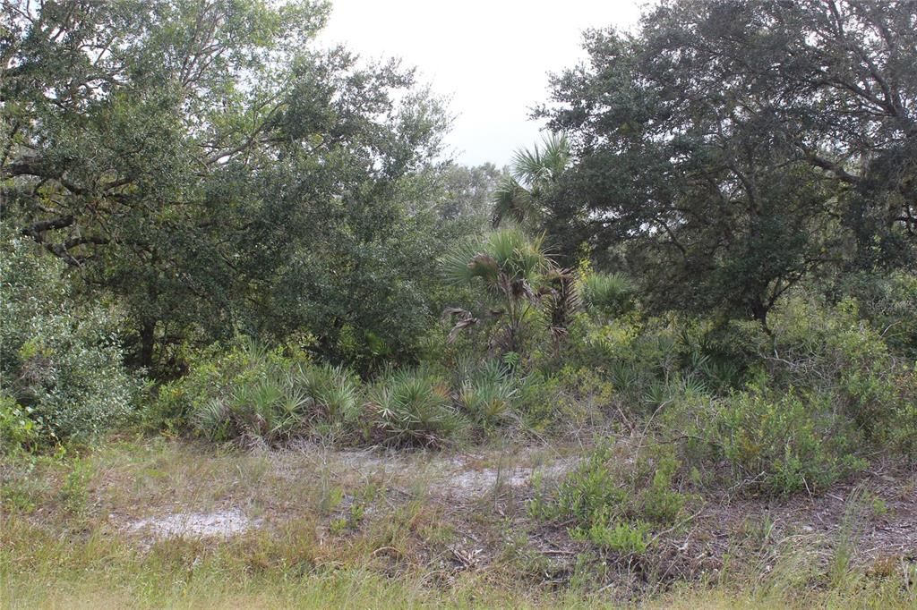 For Sale: $22,500 (1.25 acres)