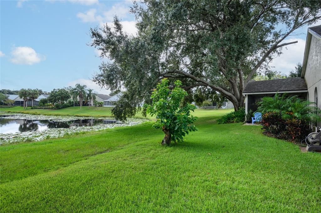 For Sale: $410,000 (3 beds, 2 baths, 1556 Square Feet)