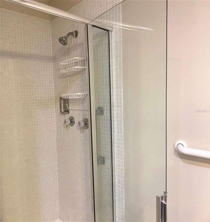 Step in shower with glass door.