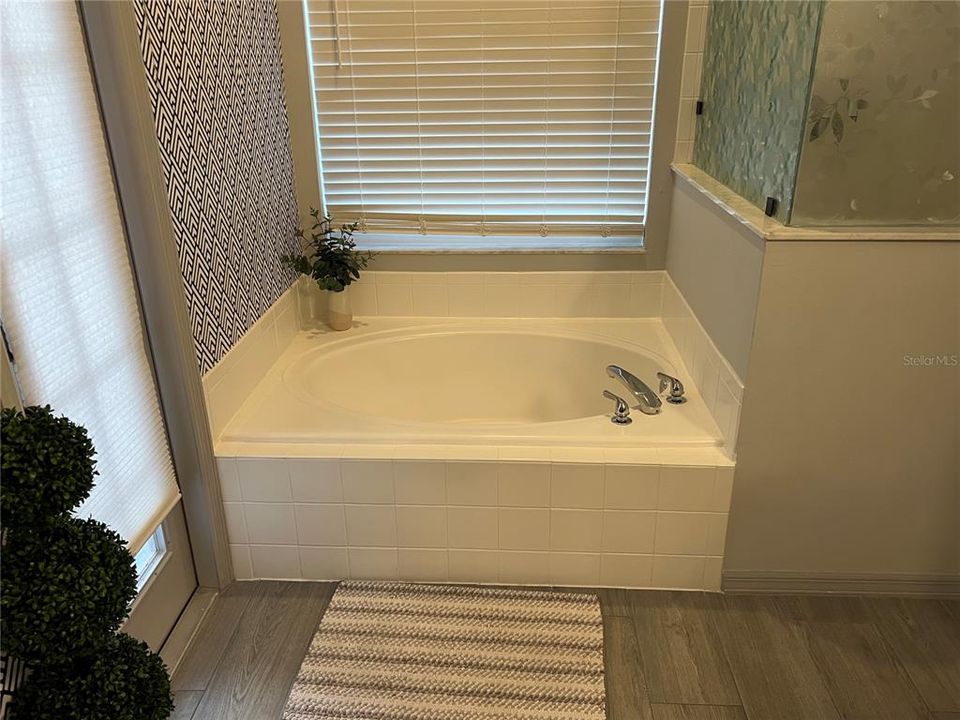 Master Bath Soaking tub