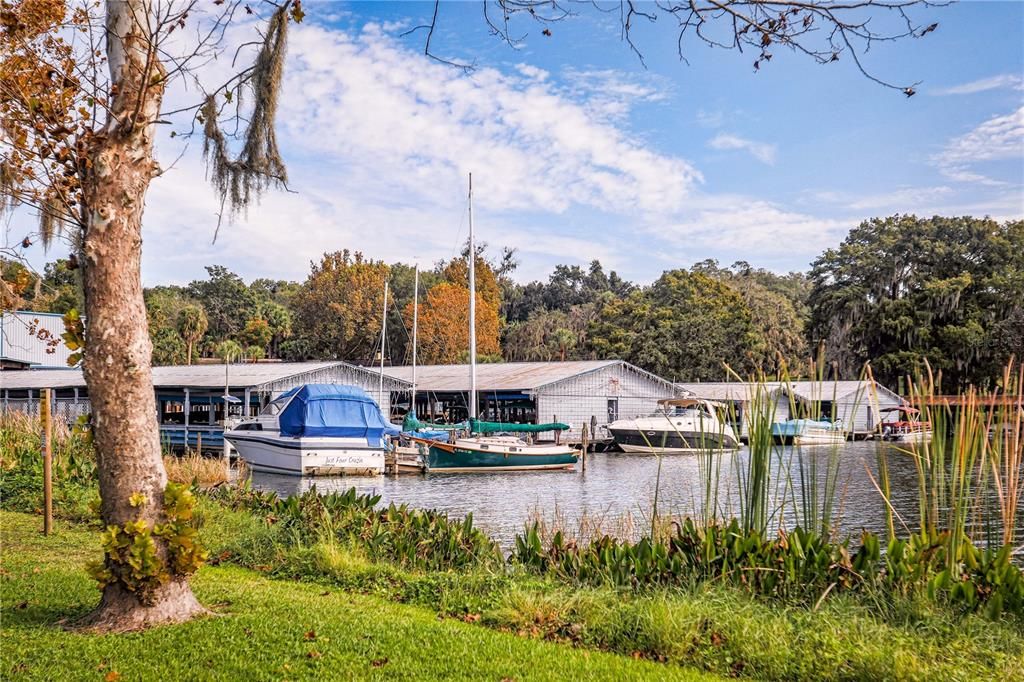 Mount Dora Marina