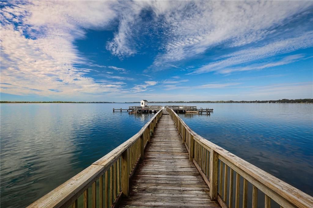 Palm Island Park Nature walk