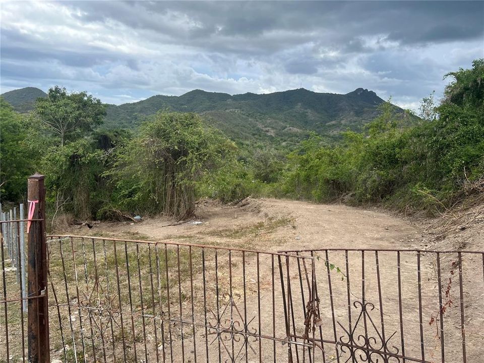 Vendido Recientemente: $84,000 (9.88 acres)