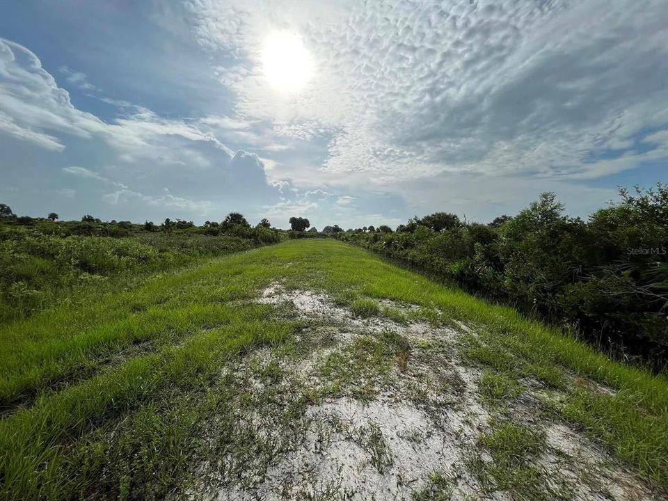 For Sale: $31,000 (1.25 acres)