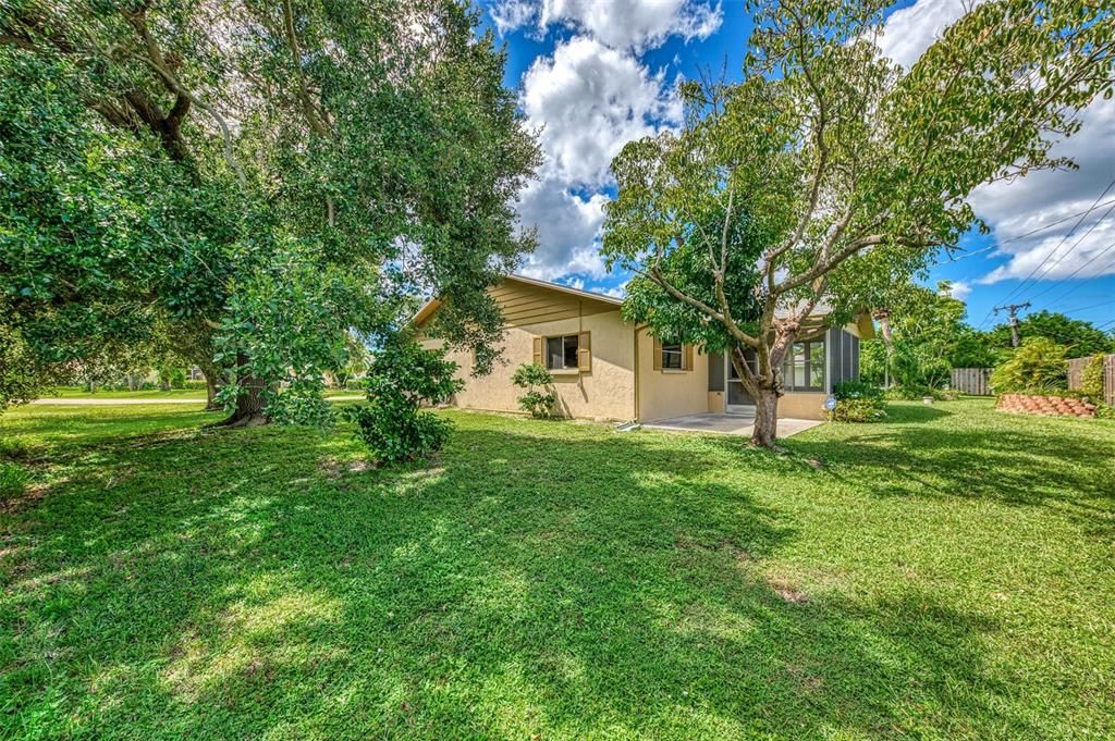 LARGE OAK TREES ON SIDE LAWN