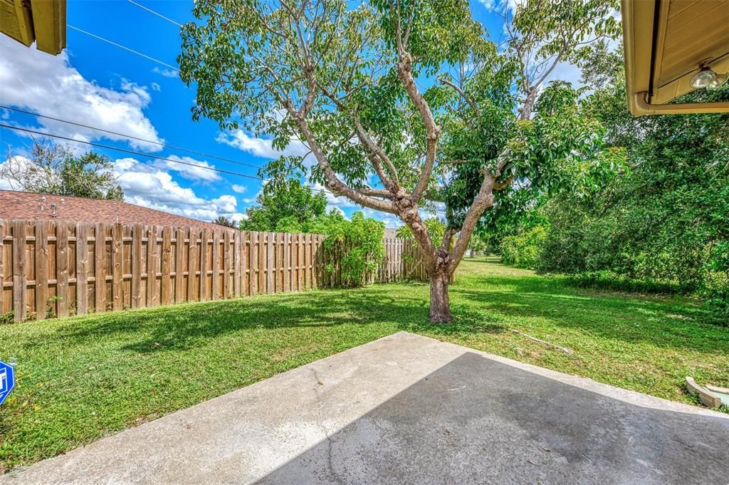 NEW WOOD FENCE