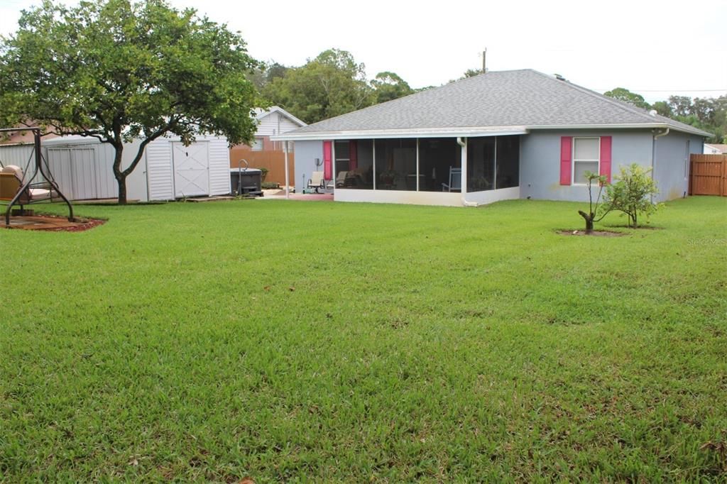 Huge back yard area.