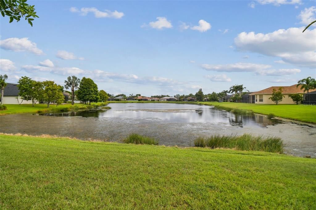 Serene pond views!