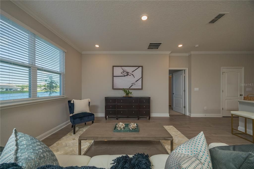 Living Room with Lots of Natural Light