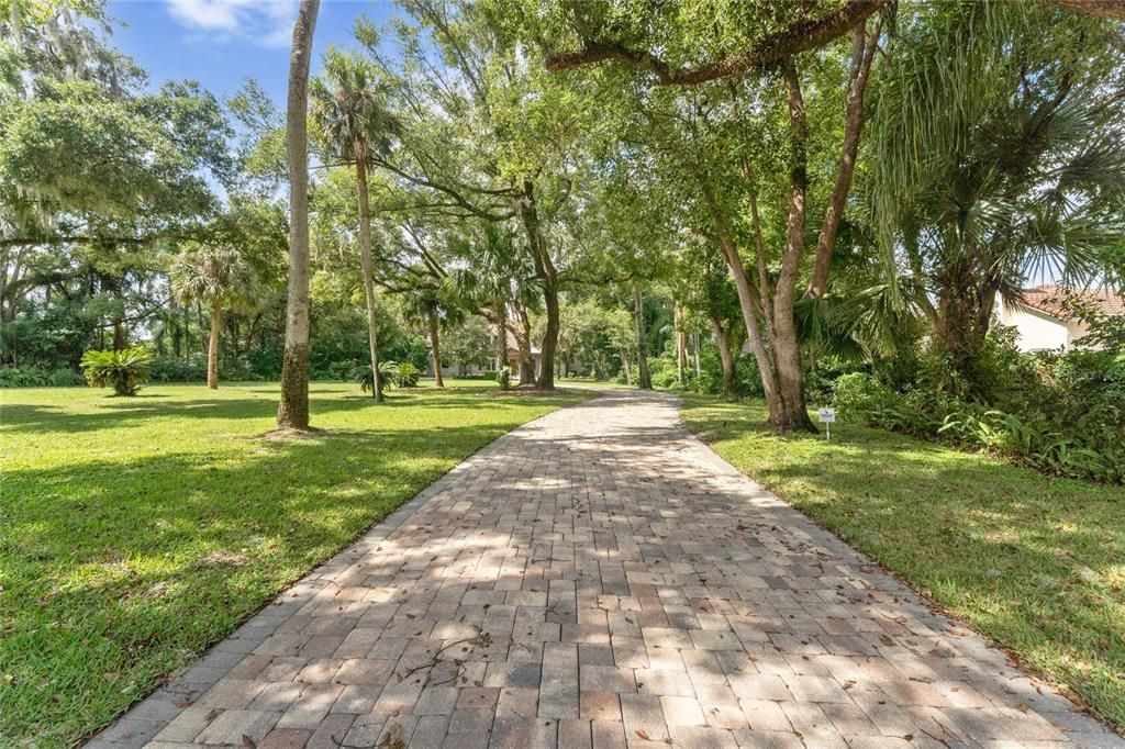 Welcome to a slice of paradise tucked away among the trees in the heart of Maitland!