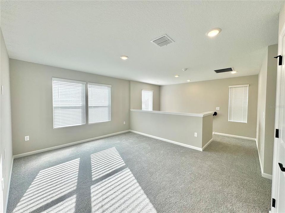 Loft or Bonus room