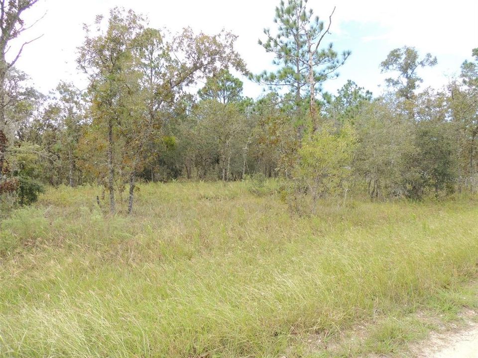 For Sale: $27,000 (1.00 acres)