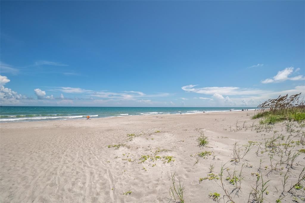 Beautiful quiet beaches in your backyard!