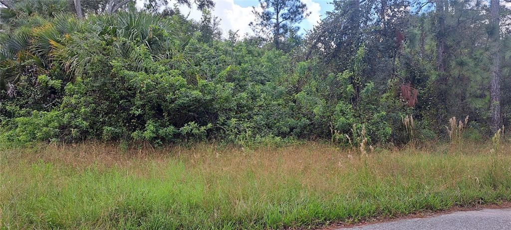 En Venta: $20,499 (0.25 acres)