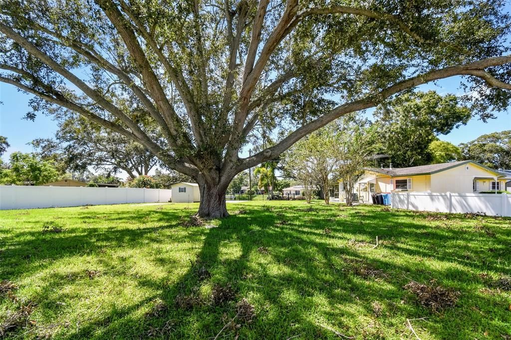 For Sale: $599,000 (4 beds, 1 baths, 1323 Square Feet)