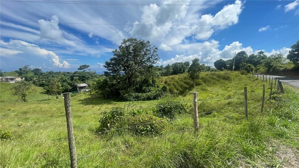 En Venta: $175,000 (7.89 acres)