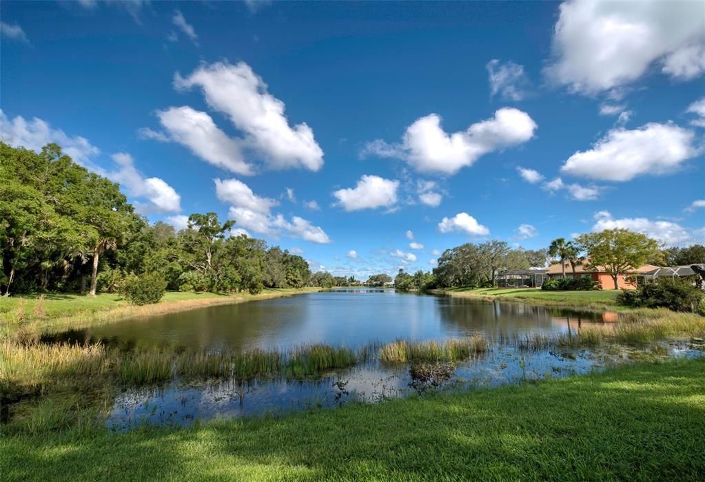 Lake views!