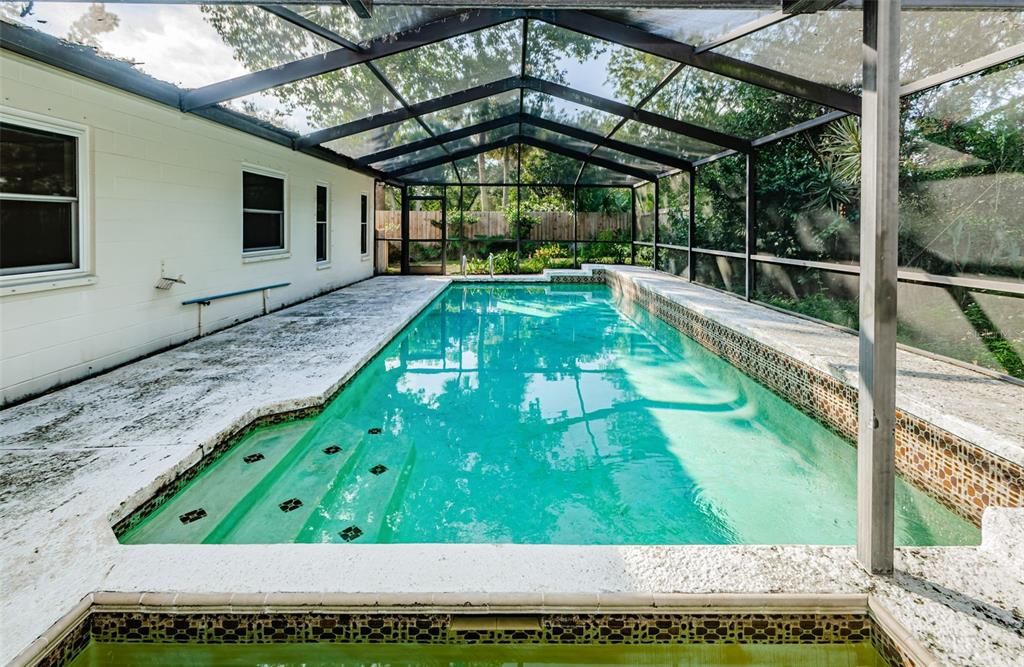 Large Pool and In-Ground Spa