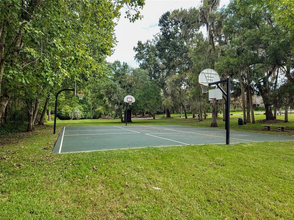 Basketball Court