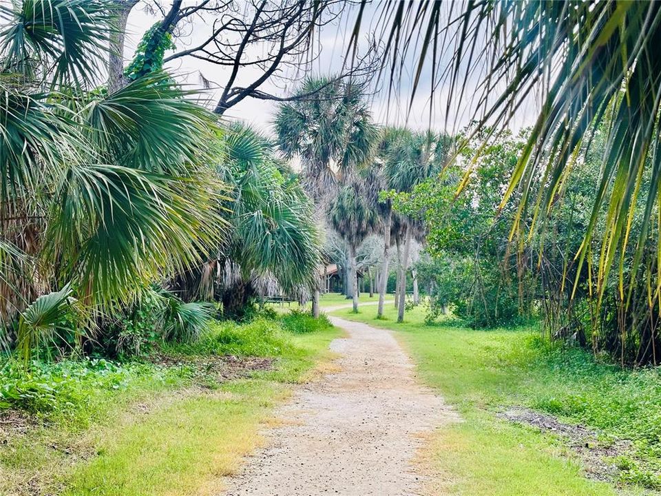 Walking trail in Fred Howard