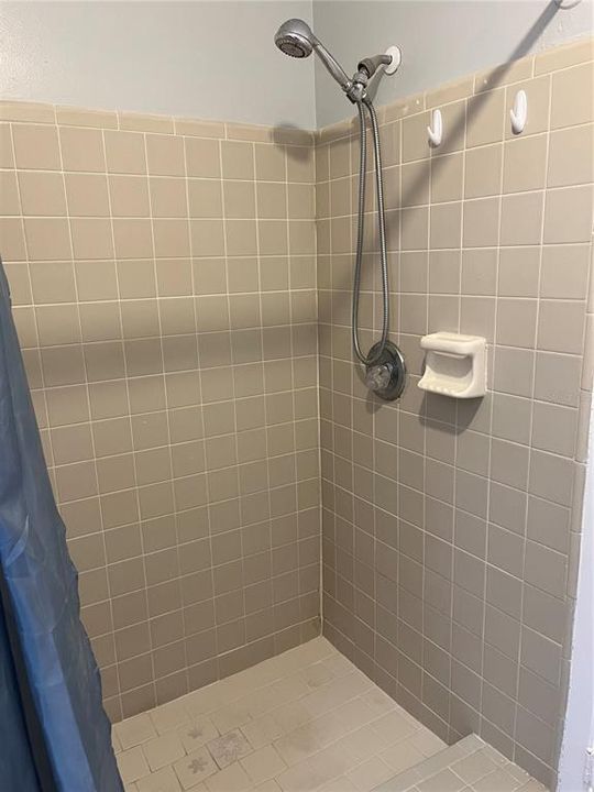 Primary Bedroom Shower