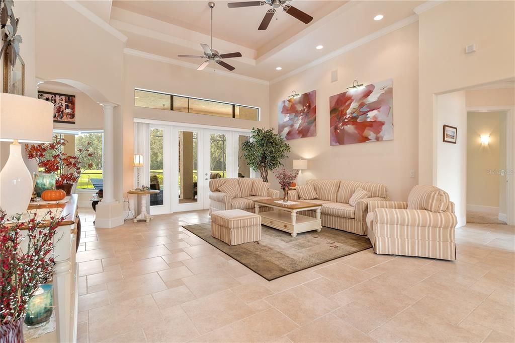 Family Room with Tray Ceilings