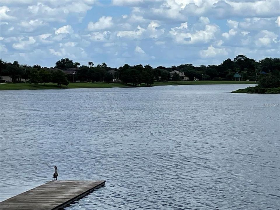 Front Pond